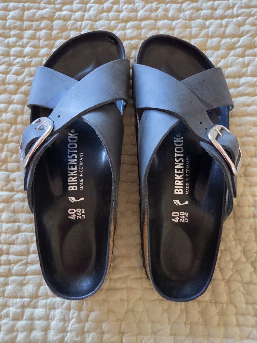 Birkenstock Siena Big Buckle Sandals